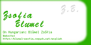 zsofia blumel business card